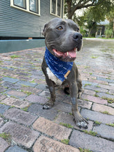 Load image into Gallery viewer, Bolts