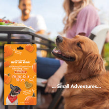 Load image into Gallery viewer, Marcy's Pet Kitchen® - 'On-The-Go' All-Natural, Vegan Pumpkin Biscuit 1oz