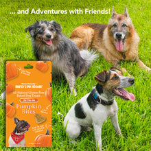 Load image into Gallery viewer, Marcy's Pet Kitchen® - 'On-The-Go' All-Natural, Vegan Pumpkin Biscuit 1oz