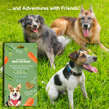 Load image into Gallery viewer, Marcy's Pet Kitchen® - 'On-The-Go' All-Natural, Vegan Veggie Biscuit 1 oz Healthy Dog Treats