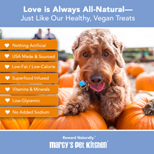 Load image into Gallery viewer, Marcy's Pet Kitchen® - 'On-The-Go' All-Natural, Vegan Pumpkin Biscuit 1oz