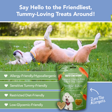 Load image into Gallery viewer, Marcy's Pet Kitchen-Vet Recommend- All Natural-Vegan Homemade,-Gluten Free-Chicken Free-for Sensitive Stomachs-Made in The USA Only