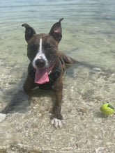 Load image into Gallery viewer, Tu-Lai-Li Gift Card