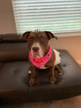 Load image into Gallery viewer, Tu-Lai-Li Gift Card