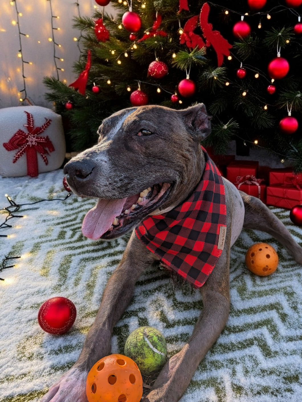Red and Black Buffalo Plaid