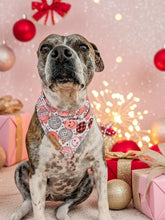 Load image into Gallery viewer, Merry &amp; Pink
