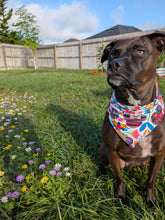 Load image into Gallery viewer, Love Never Dies 💀🌈💐
