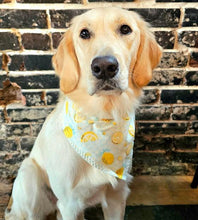 Load image into Gallery viewer, Lil&#39; Lemon Drop
