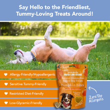 Load image into Gallery viewer, Marcy&#39;s Pet Kitchen- All Natural, Vegan Pumpkin Biscuit Dog Treats - Homemade-Vet Approved- Vegan, Gluten Free, Human Grade Ingredients, Made in The USA, Healthy Pumpkin Dog Treats
