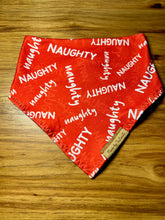 Load image into Gallery viewer, The Naughty List
